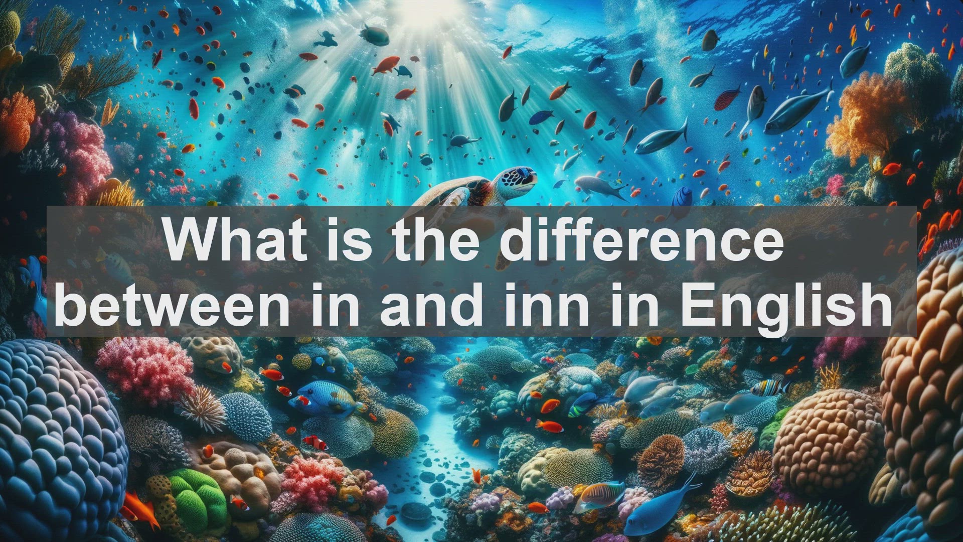 'Video thumbnail for What is the difference between in and inn in English?'