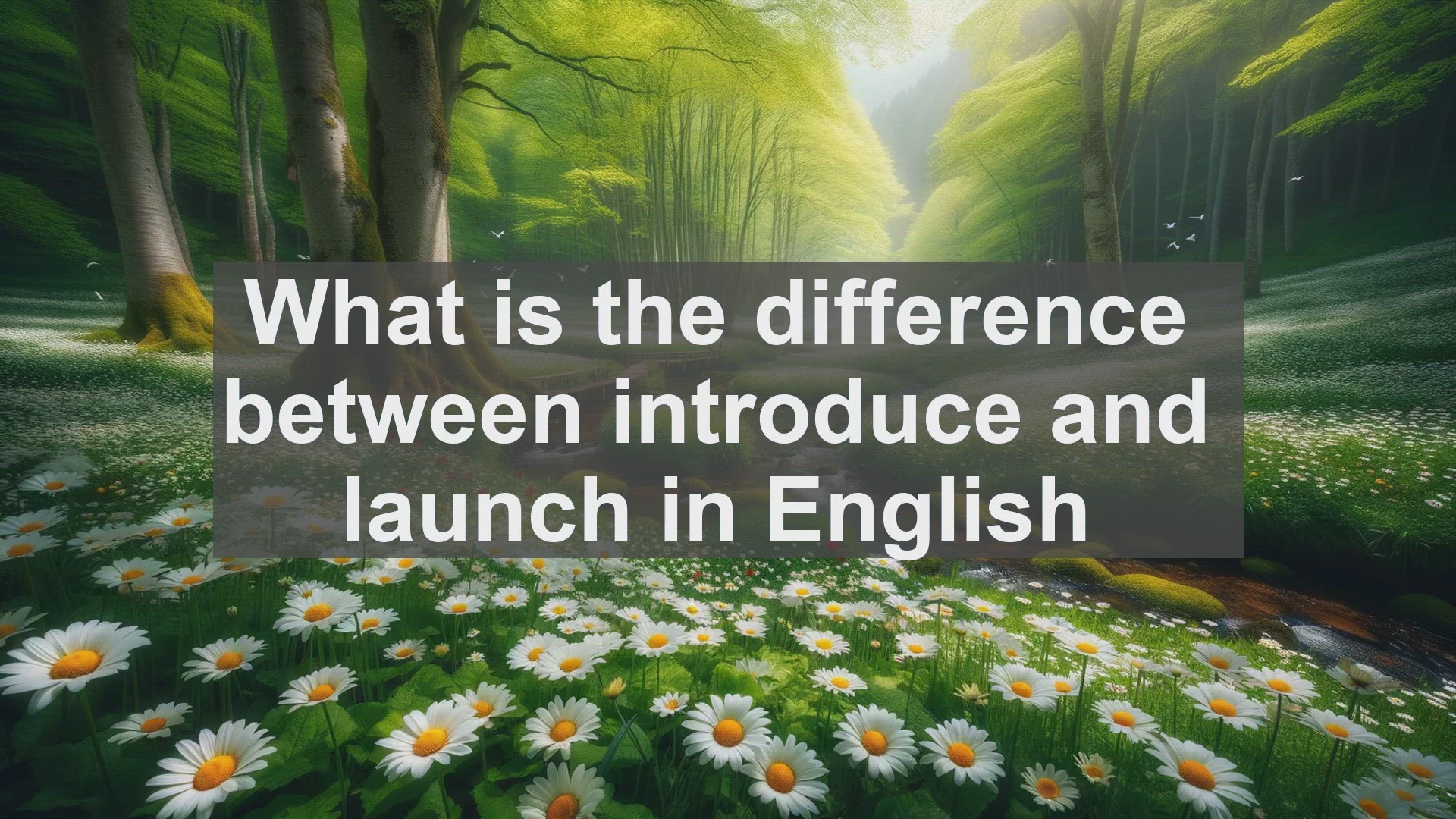 'Video thumbnail for What is the difference between introduce and launch in English?'
