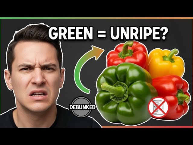Video thumbnail for The Truth About Green Bell Peppers: Unripe Fruit, Bitter Taste, & Nutrition Facts Debunked