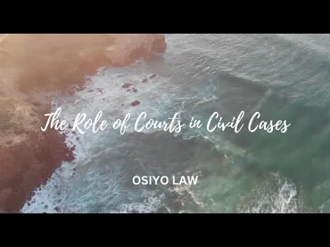 'Video thumbnail for The Role of Courts in Civil Cases'