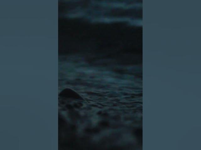 Video thumbnail for 😶🌫️Quiet ocean sounds------------- #beach #relaxingsounds #relax #dream #peace #peacefulwaves