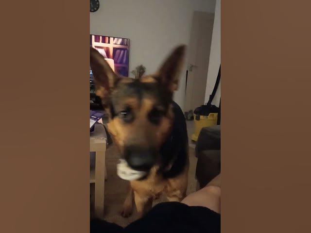 'Video thumbnail for baloogsd'