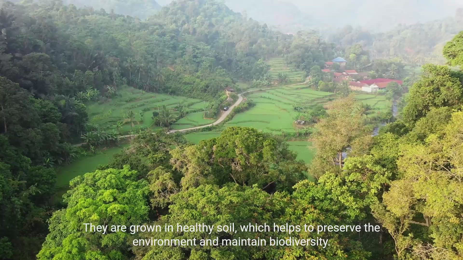 'Video thumbnail for The Advantages of Organic Foods'