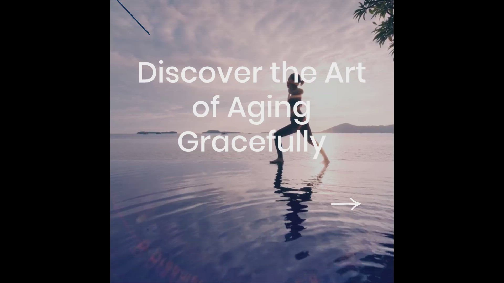'Video thumbnail for Tai Chi Grace'