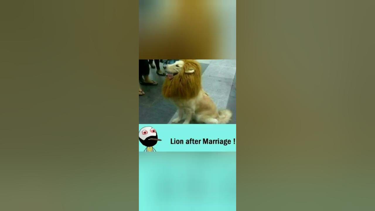 'Video thumbnail for funny memes that will make you laugh #602 || legend memes ||  funny relatable memes 😂 #memes #shorts'