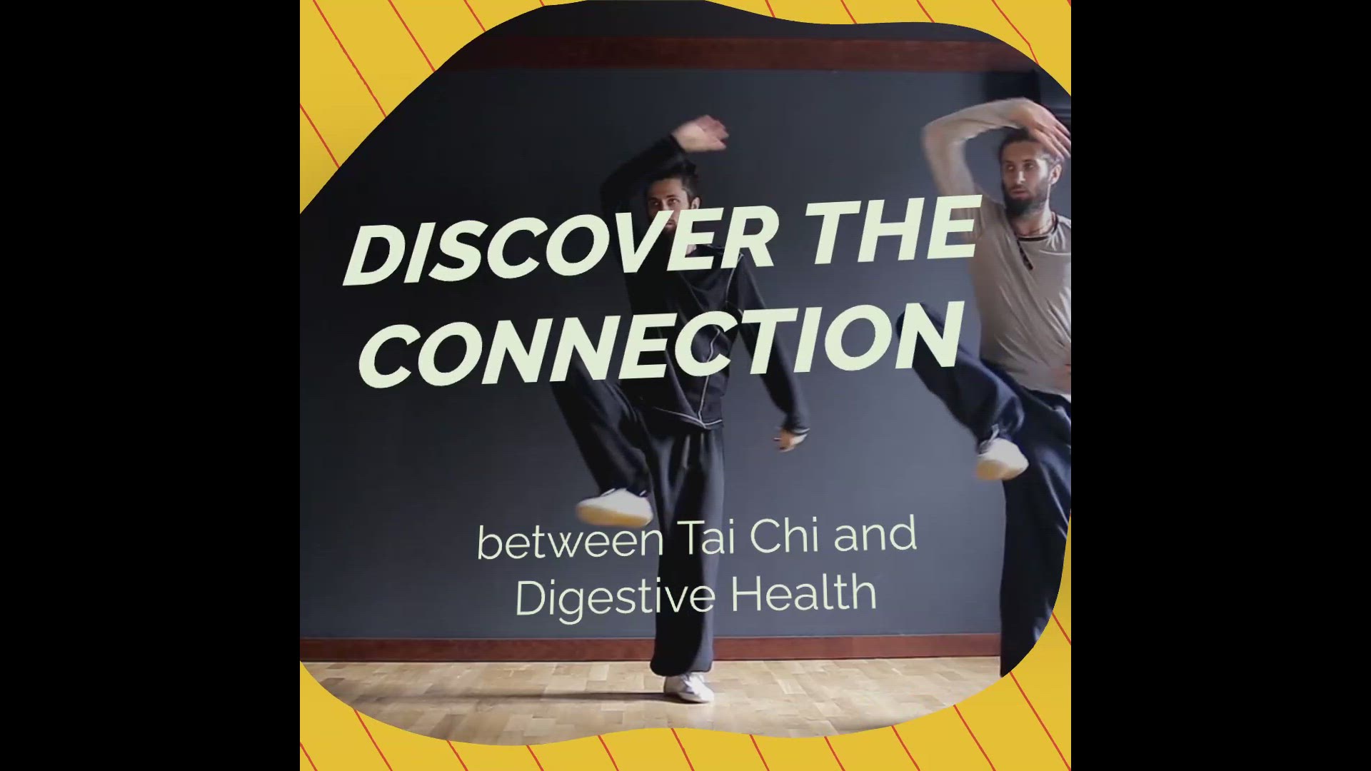 'Video thumbnail for Digestive Harmony'