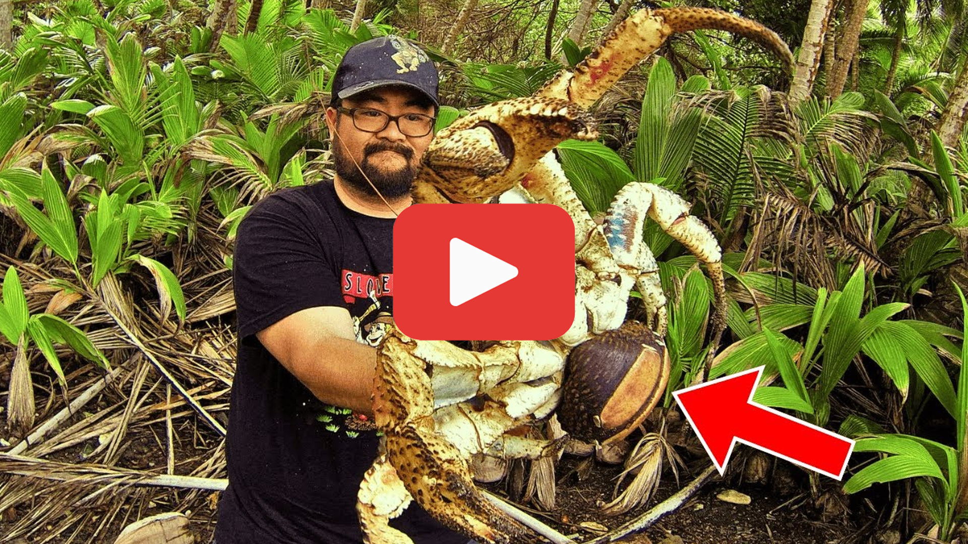 'Video thumbnail for He Thought It Was Just a Crab—The Truth Left Him Stunned'