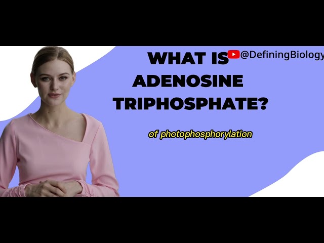 'Video thumbnail for What Is Adenosine Triphosphate ATP'