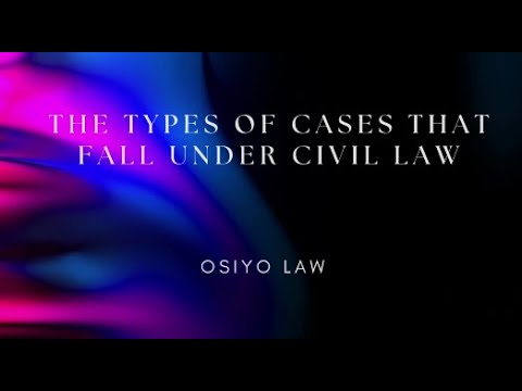 'Video thumbnail for The Types of Cases that Fall Under Civil Law'