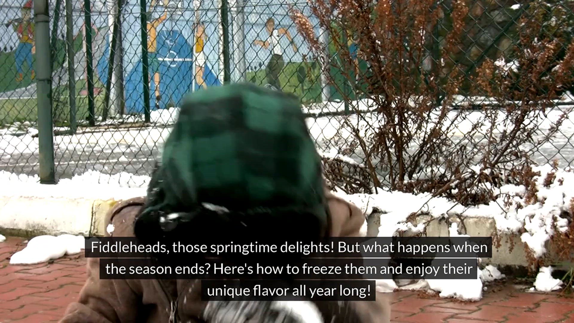 Video thumbnail for How to Freeze Fiddleheads
