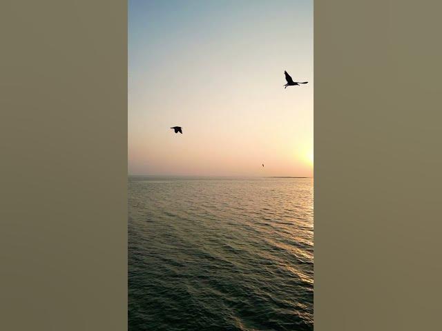 Video thumbnail for #nature #backgroundmusic #youtube #love #melodys #instrumentalmusic #viral #youtubeshorts #melody