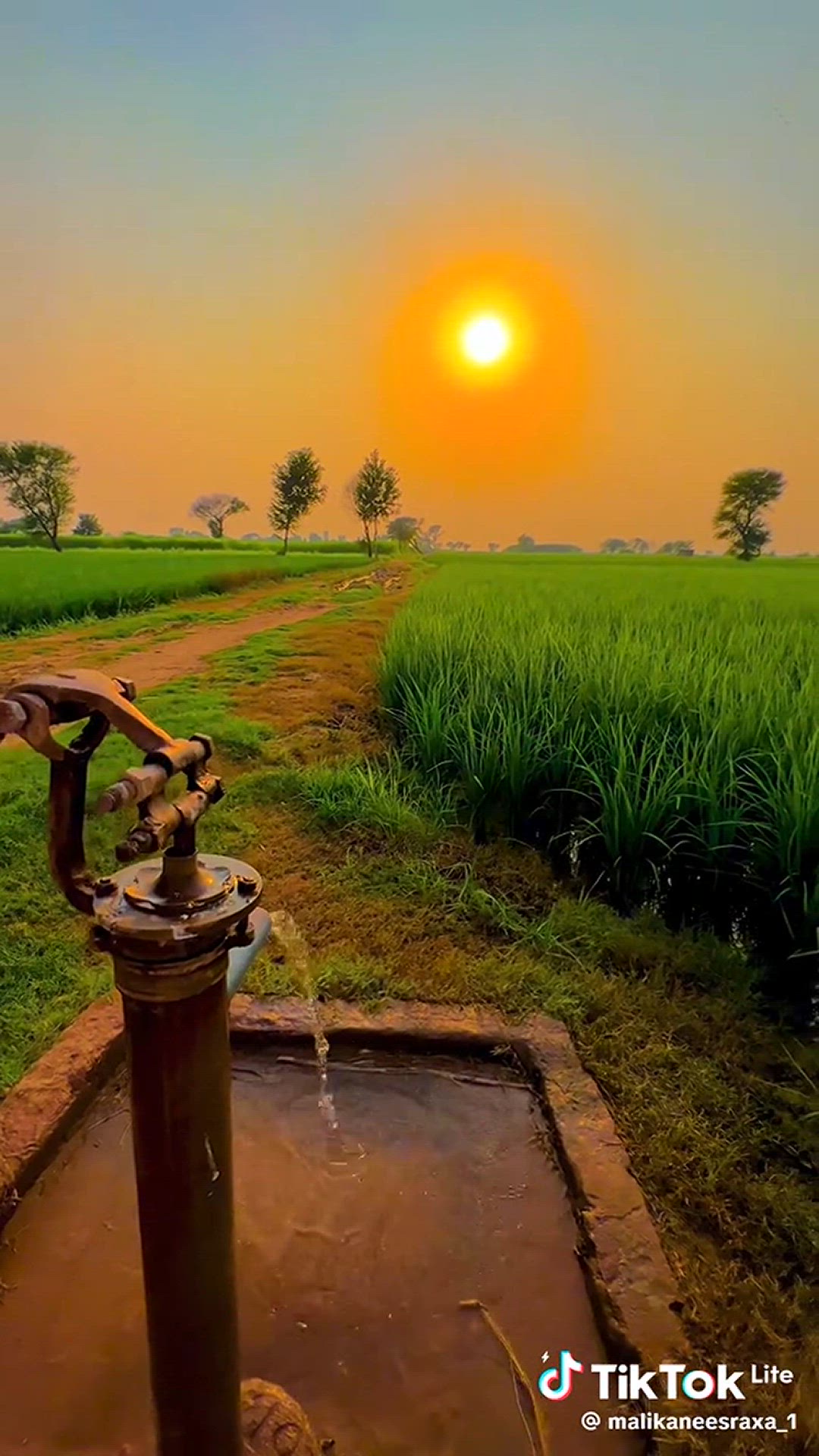 Video thumbnail for Download (7)