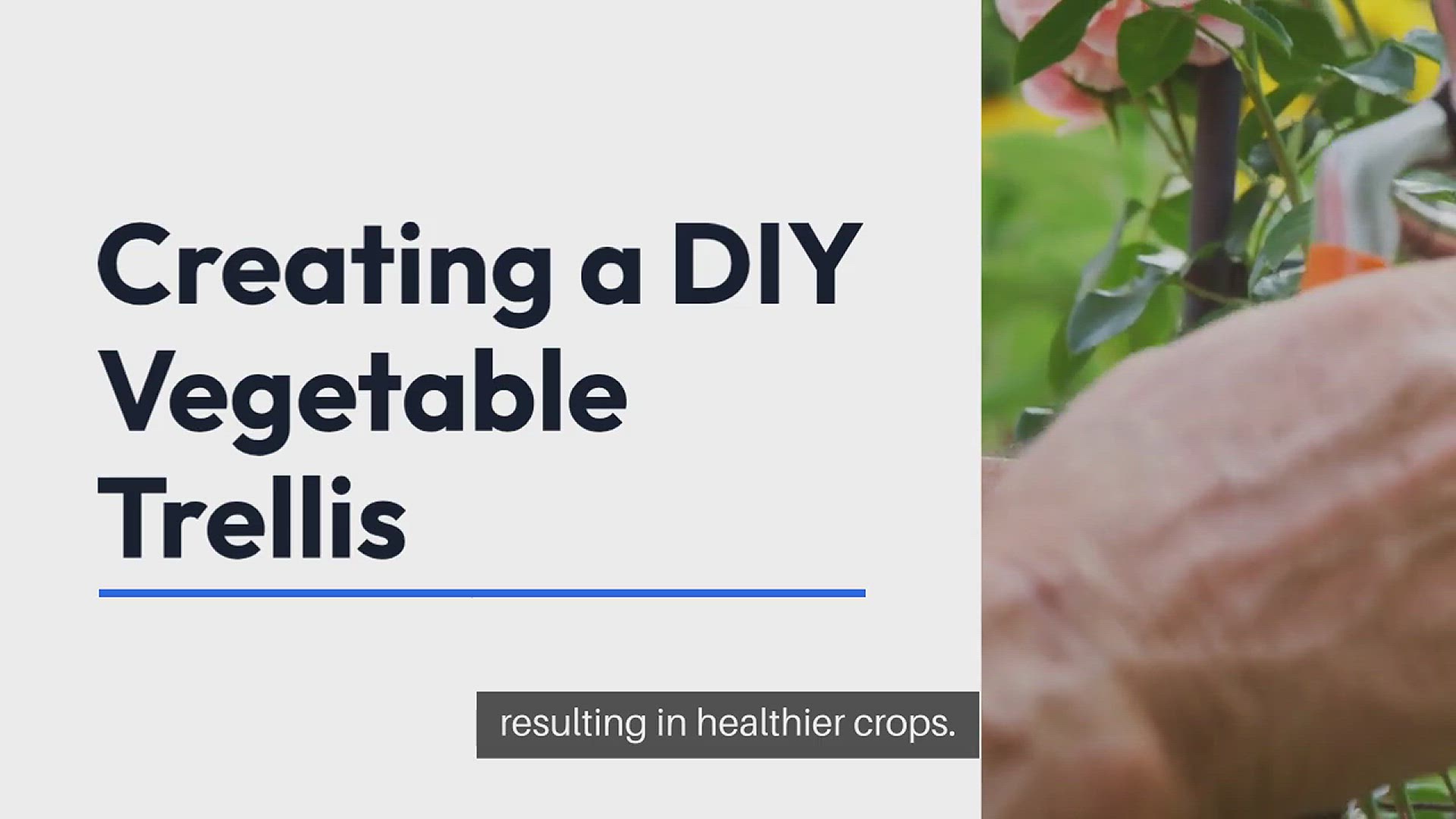 'Video thumbnail for DIY Vegetable Trellis'