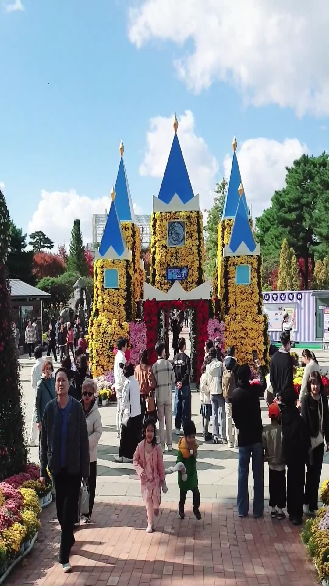Video thumbnail for The Breathtaking Beauty of Daejeon Yuseong Chrysanthemum Festival 2025