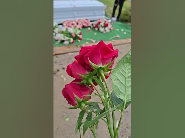 Video thumbnail for August 31, 2025