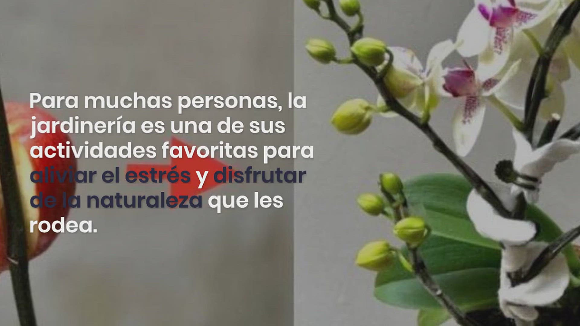 Video thumbnail for He aquí por qué deberías plantar tenedores de plástico en el jardín: