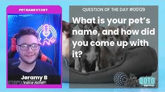 Video thumbnail for Jeramy's cats all get the Kenichi anime treatment!