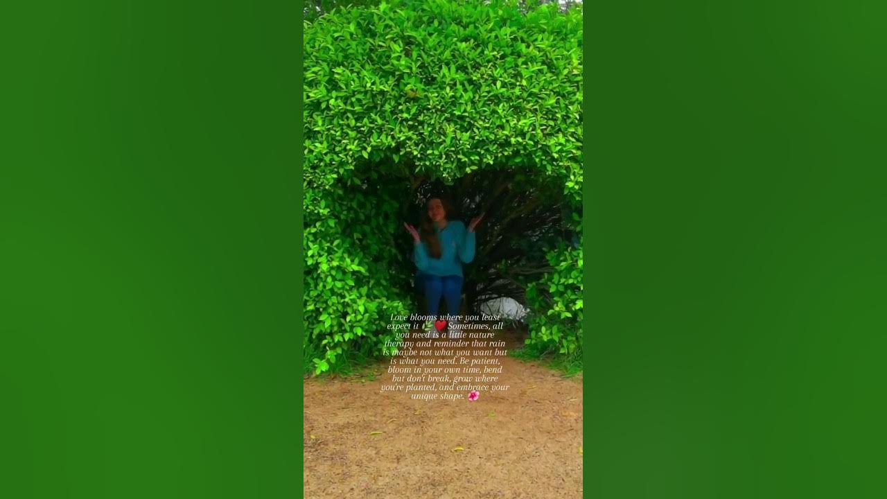 Video thumbnail for Nature therapy #shorts