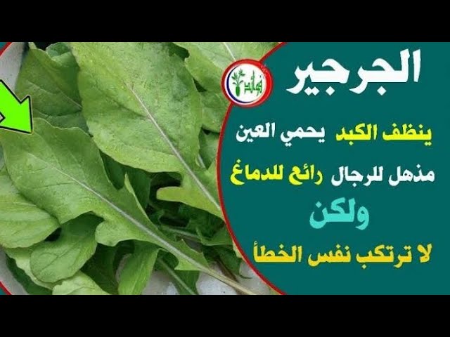 Video thumbnail for الجرجير