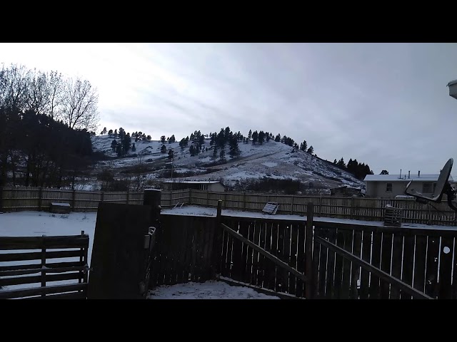 Video thumbnail for IT SNOWED LASTNIGHT & THIS MORNING #2