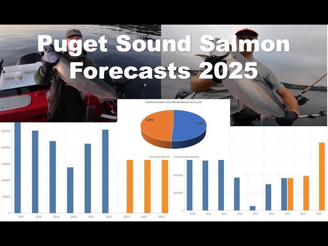 'Video thumbnail for What's expected in 2025 for Puget Sound Salmon? I break down the forecasts and explain the issues'