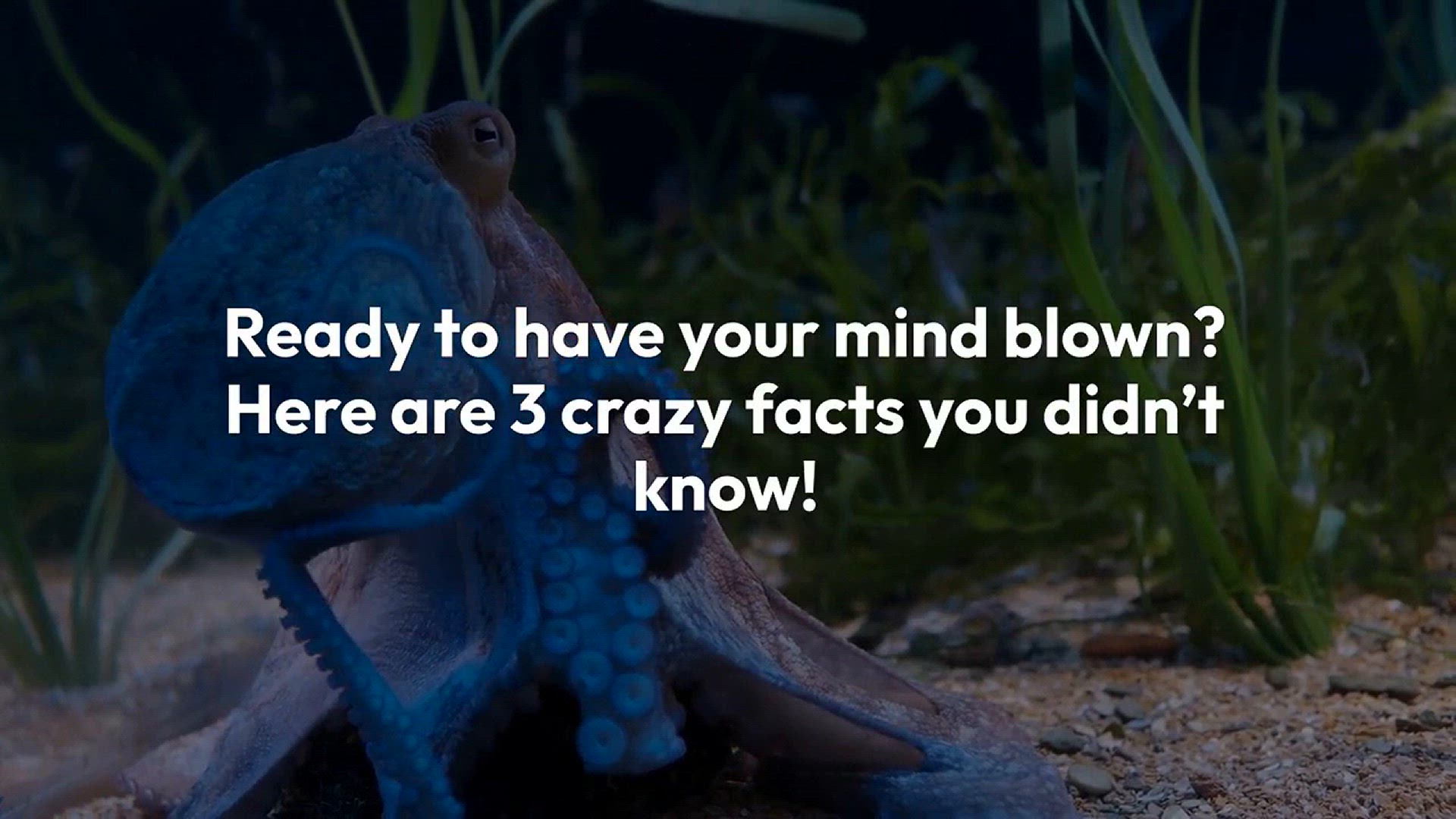 Video thumbnail for 3 Crazy Facts That Will Blow Your Mind - You Won’t Believe
