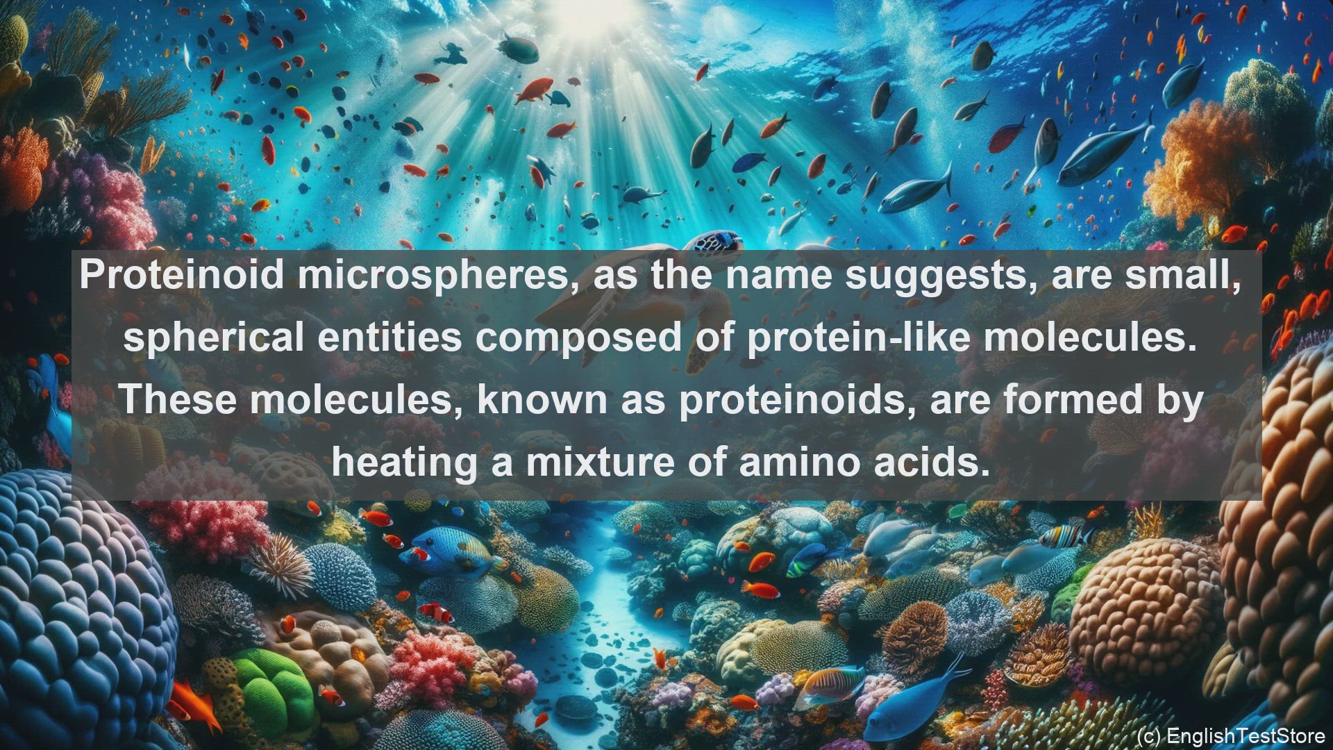 'Video thumbnail for Proteinoid microspheres in science  definition and examples'