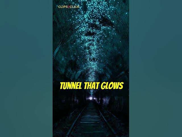 'Video thumbnail for Tunnel Glows with Magical Glowworms in Australia'