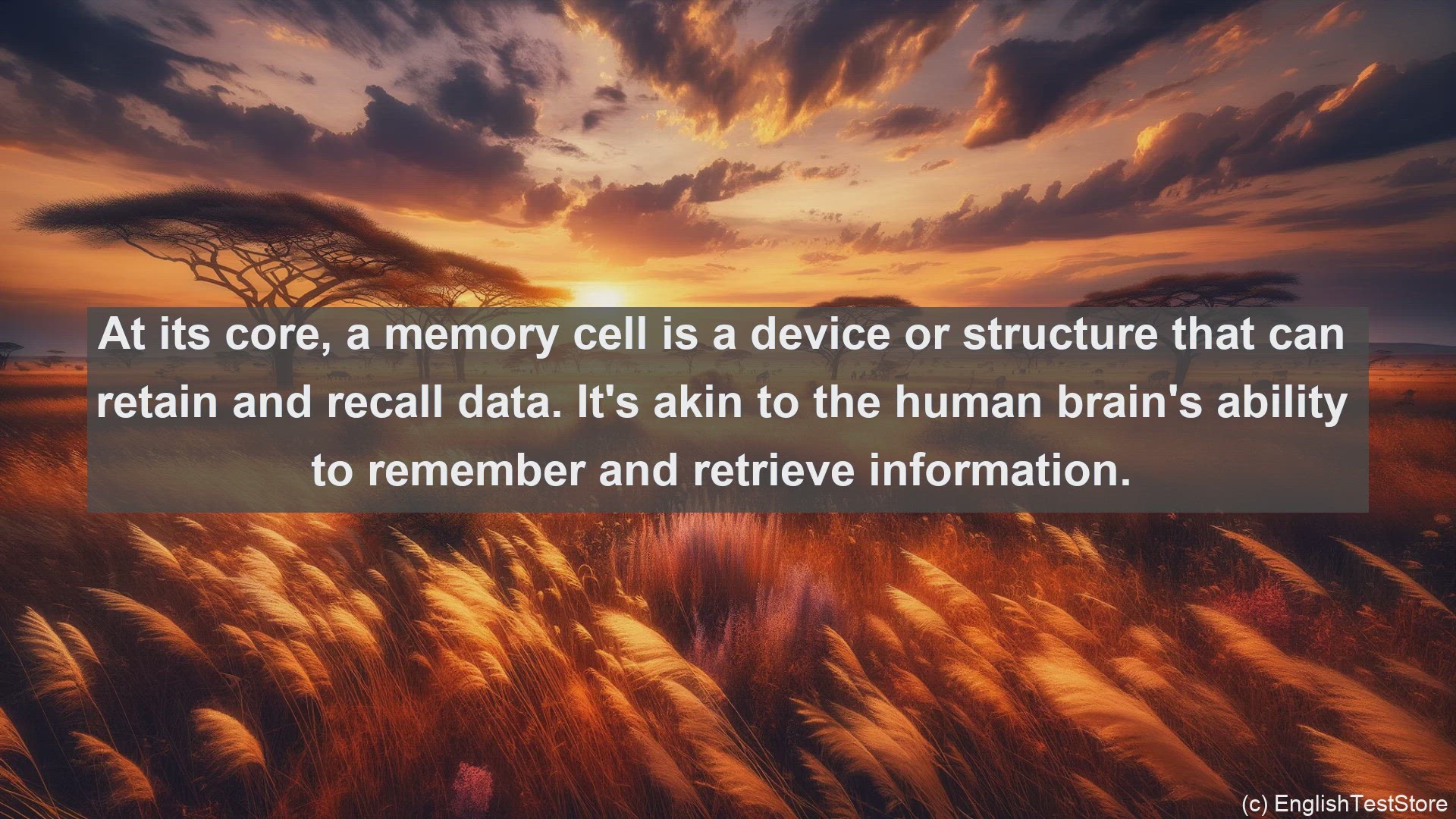 'Video thumbnail for Memory cell in science  definition and examples'
