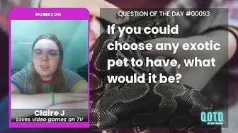 Video thumbnail for Claire wants a pet koala, climbing trees and vibing. How adorable