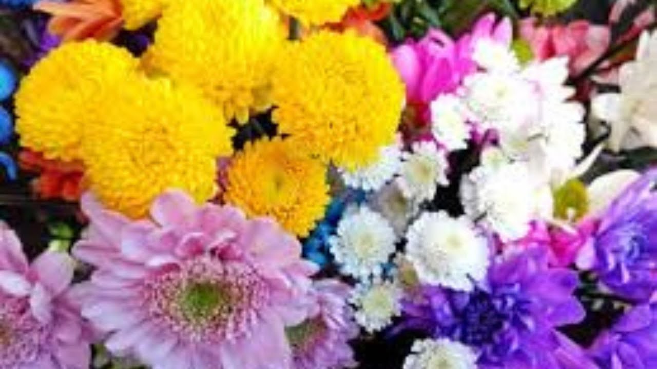 Video thumbnail for 10 Lucky Lunar New Year Flowers: video blog