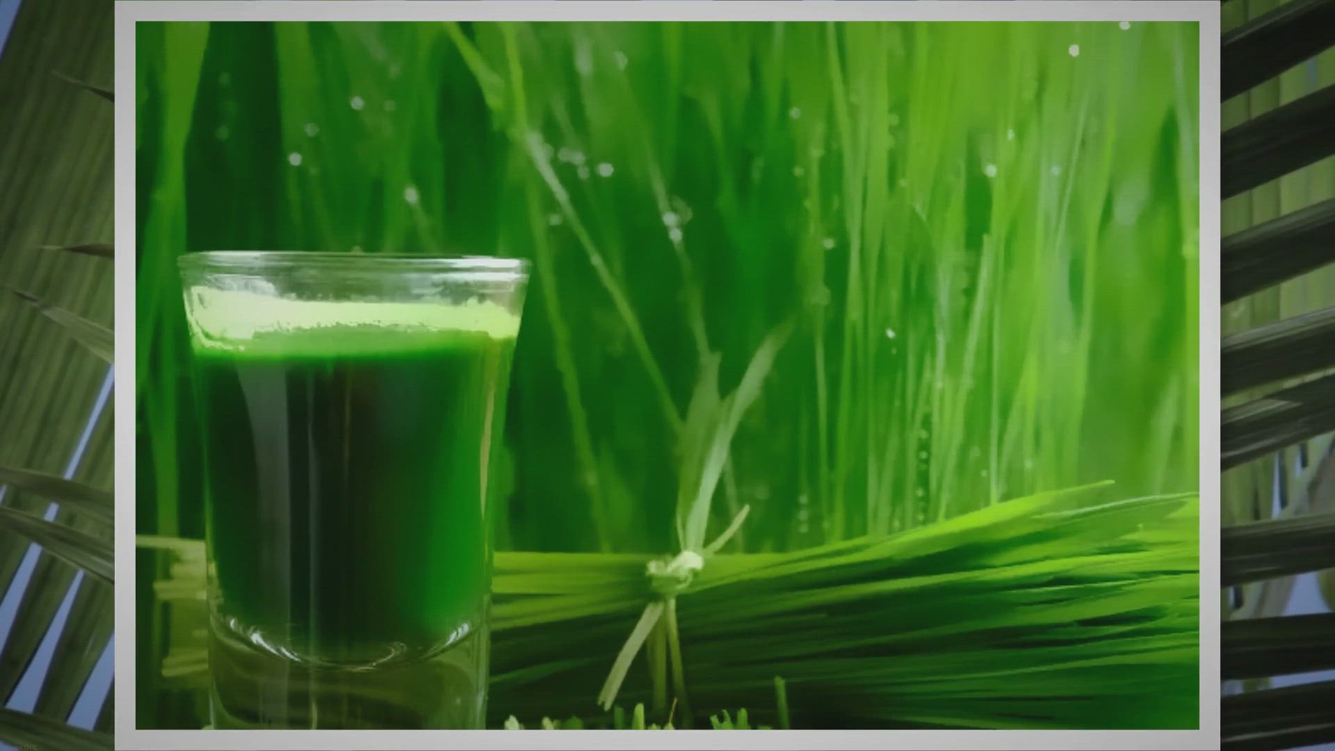 Video thumbnail for Homemade Wheatgrass Juice Recipe