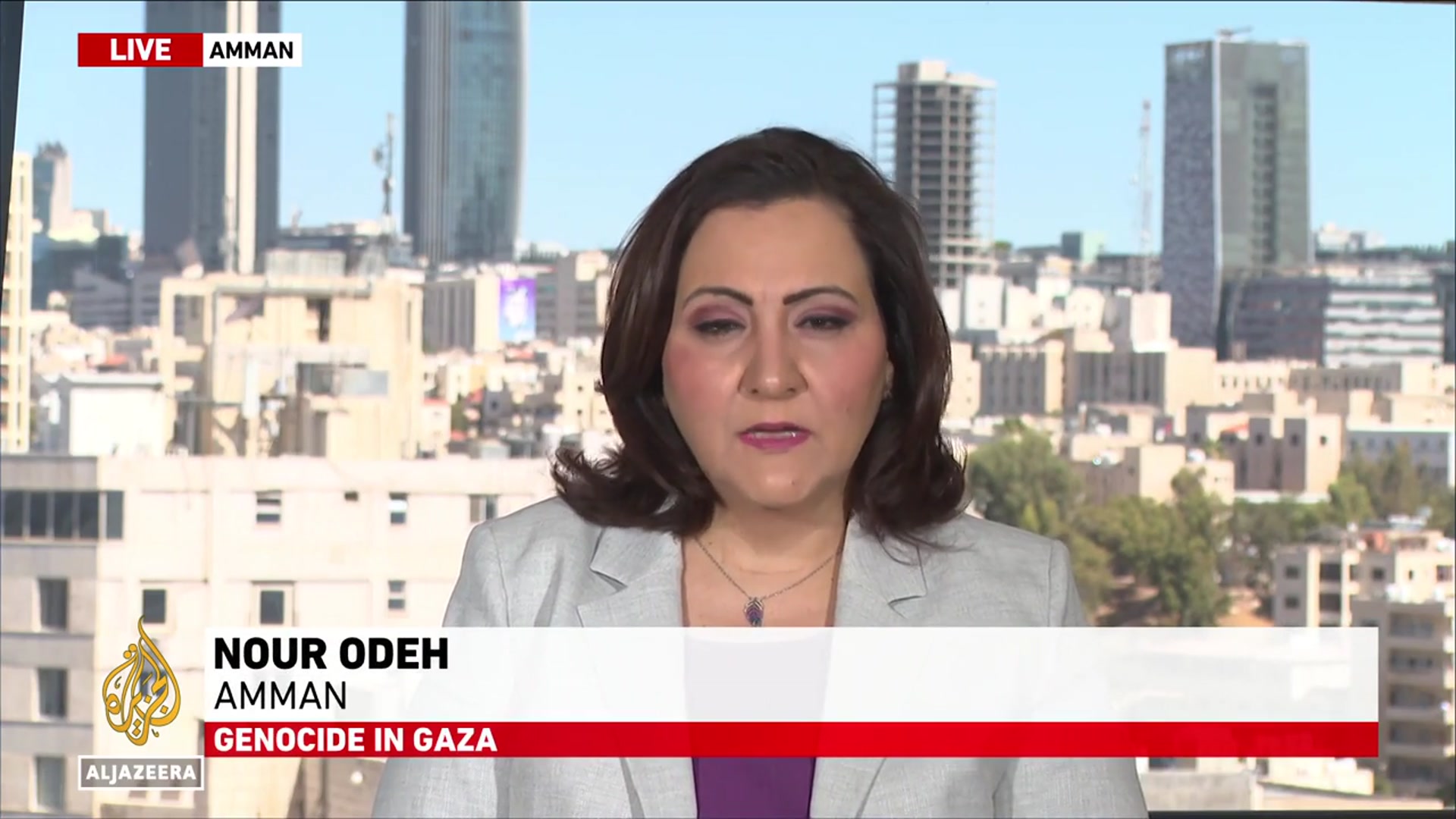 'Video thumbnail for Aid distribution may be a sticking point in ceasefire talks'
