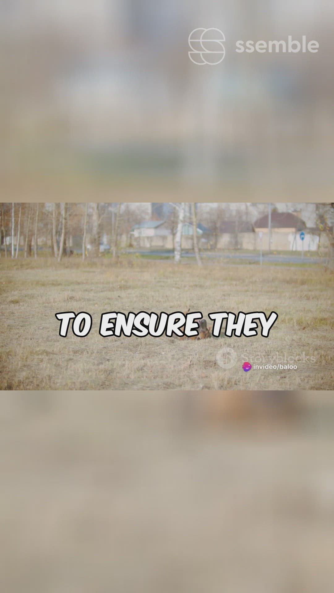 'Video thumbnail for Puppy to Hero '
