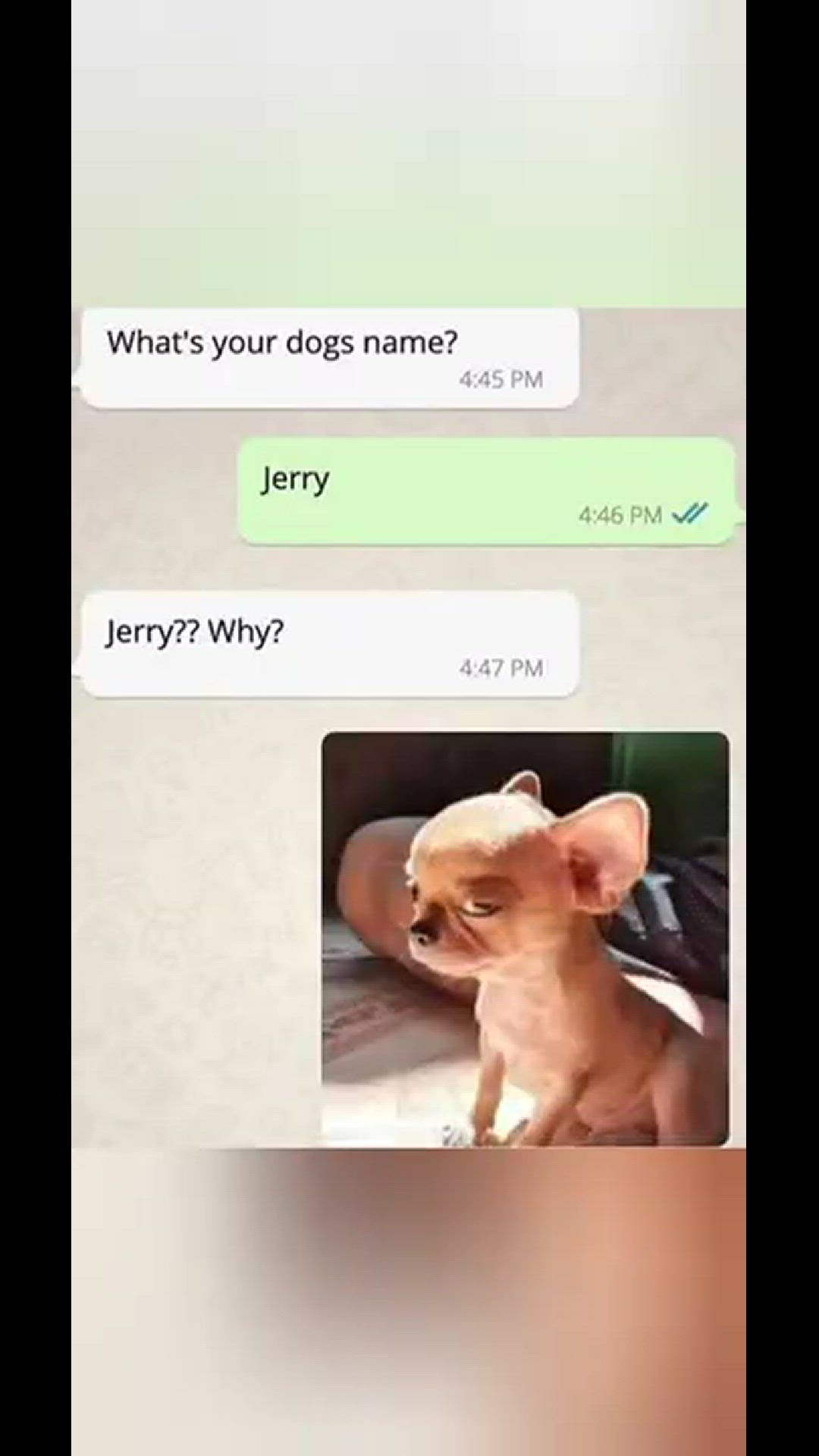 'Video thumbnail for funny memes that will make you laugh #584 || legend memes ||  funny relatable memes 😂 #memes #shorts'