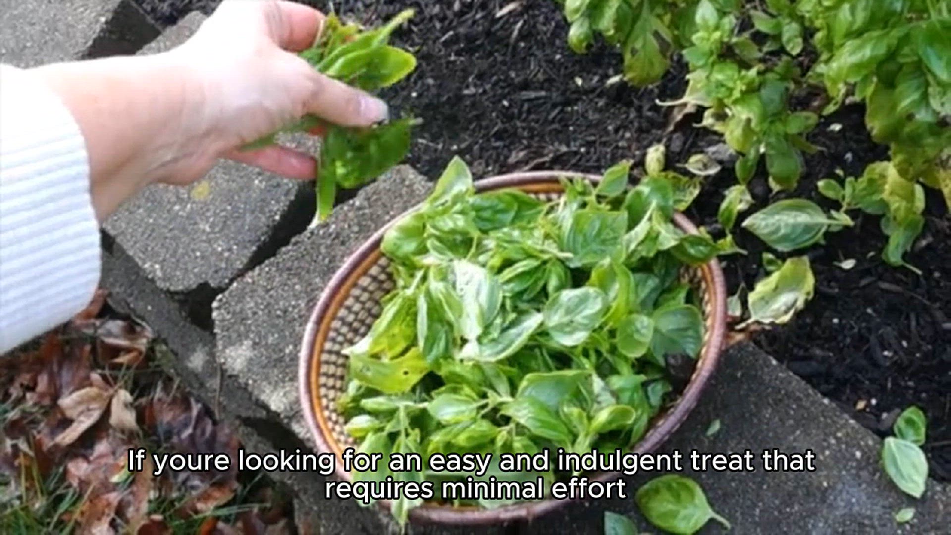 Video thumbnail for Non baked chocolate peanut recipe