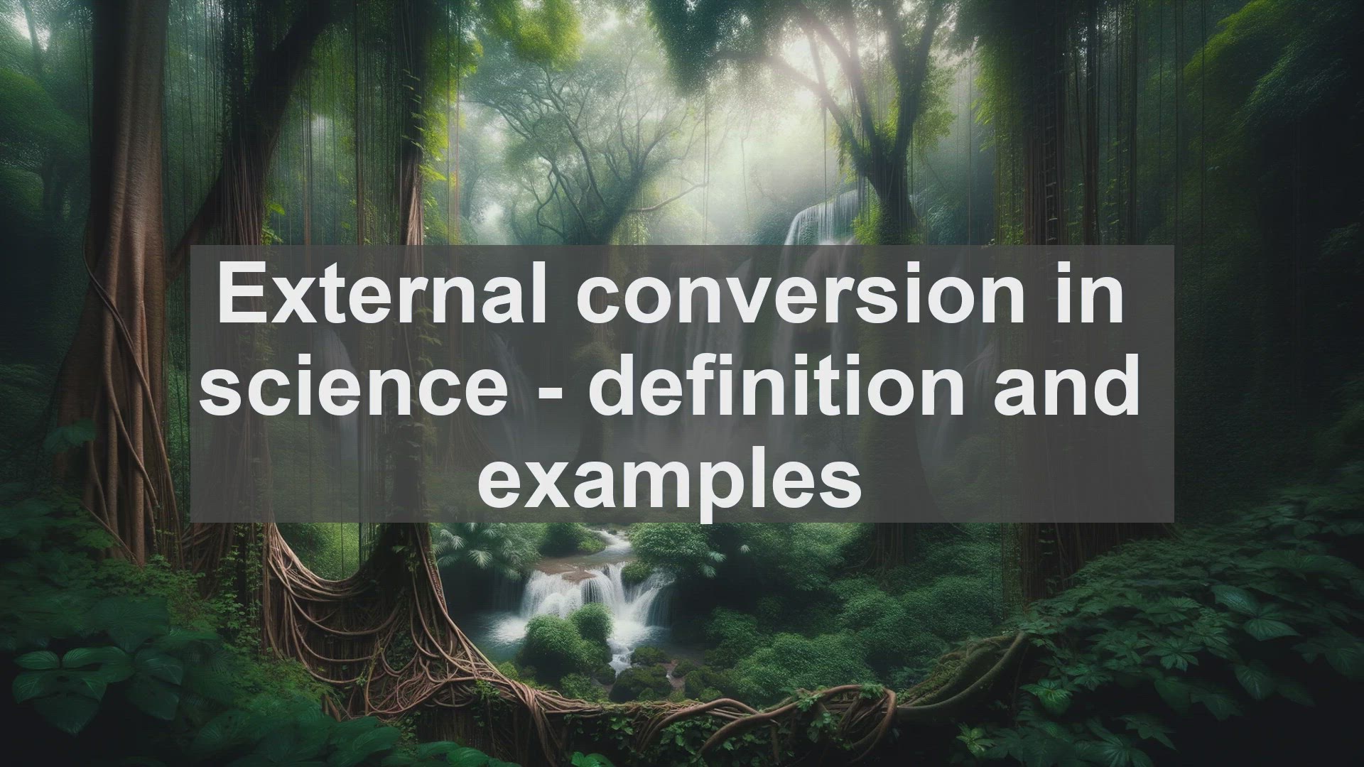 'Video thumbnail for External conversion in science  definition and examples'