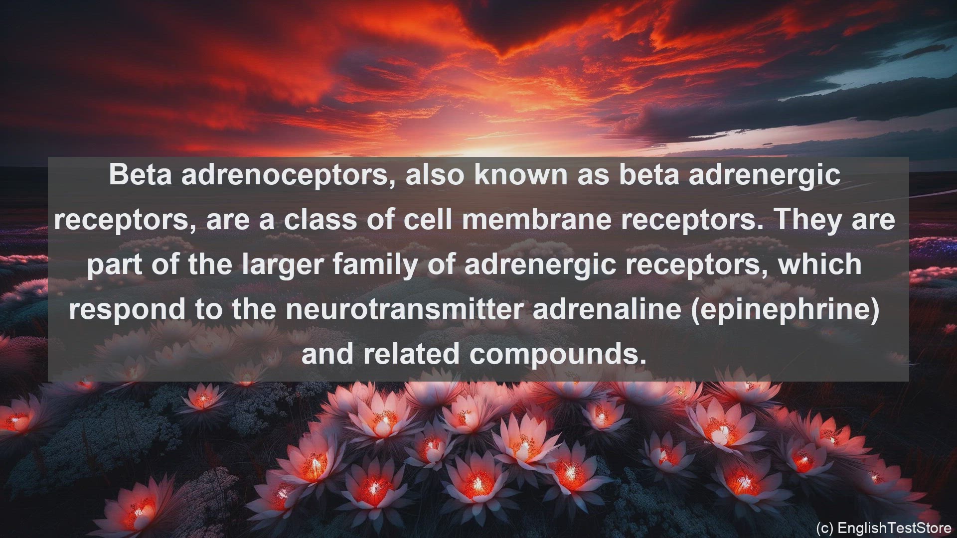 'Video thumbnail for Beta adrenoceptor in science  definition and examples'