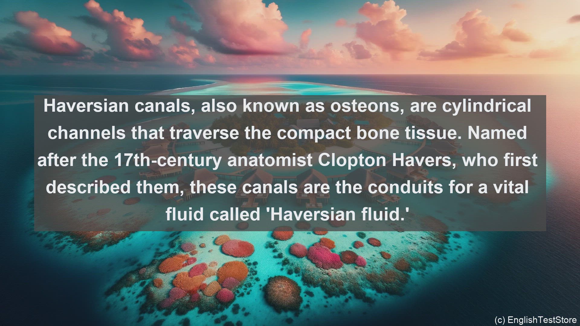 'Video thumbnail for Haversian canals in science  definition and examples'