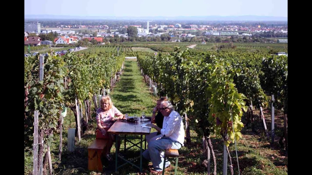 'Video thumbnail for Unterwegs auf der Genussmeile in Gumpoldskirchen im Wienerwald'