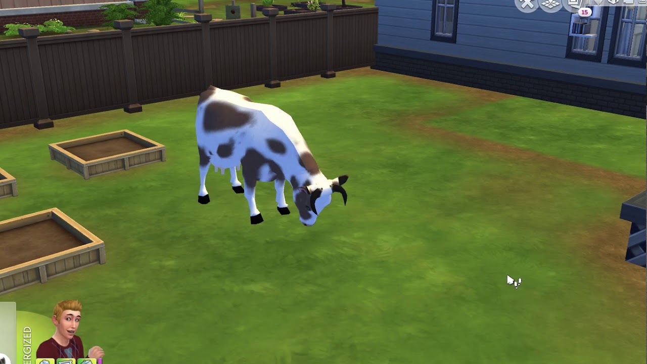 Video thumbnail for Dairy Cow mod Work in Progress