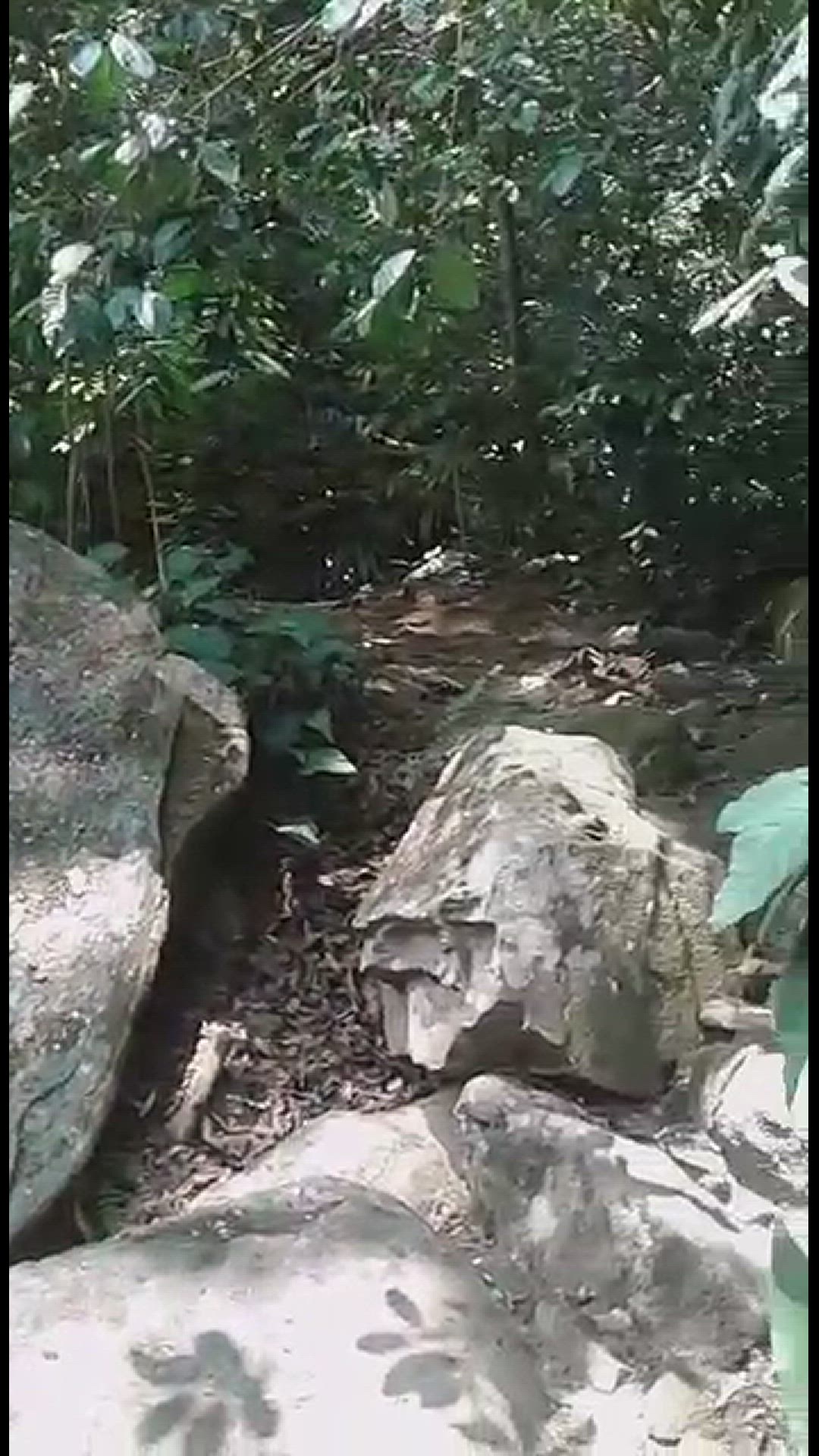 Video thumbnail for Waterfall