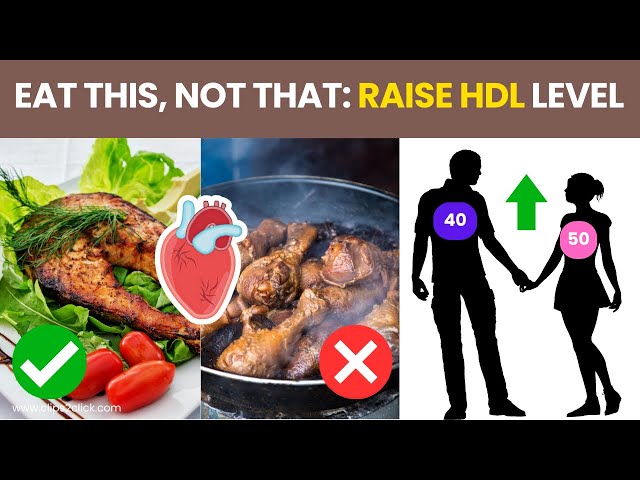 'Video thumbnail for How to Increase HDL Cholesterol Naturally - Top 8 Foods that Boost "Good" Cholesterol'
