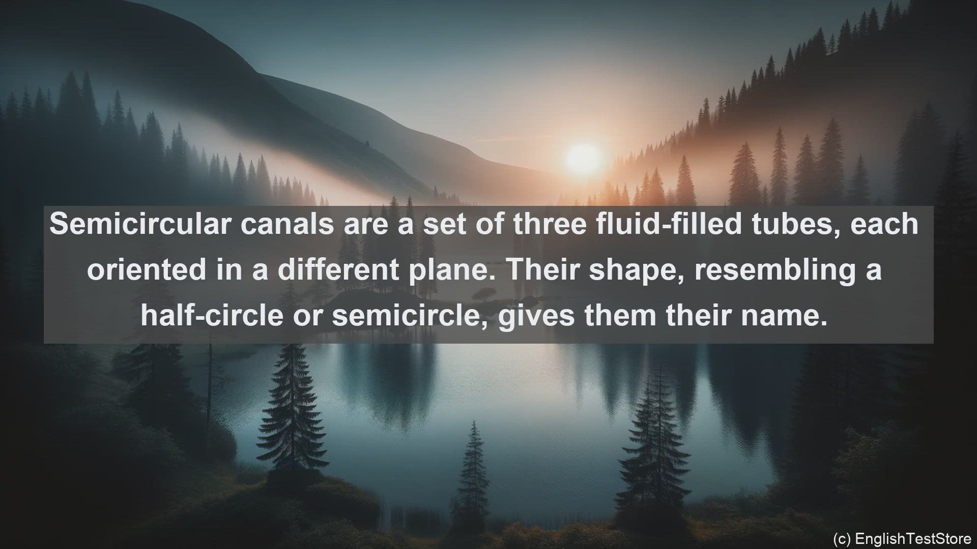 'Video thumbnail for Semicircular canals in science  definition and examples'