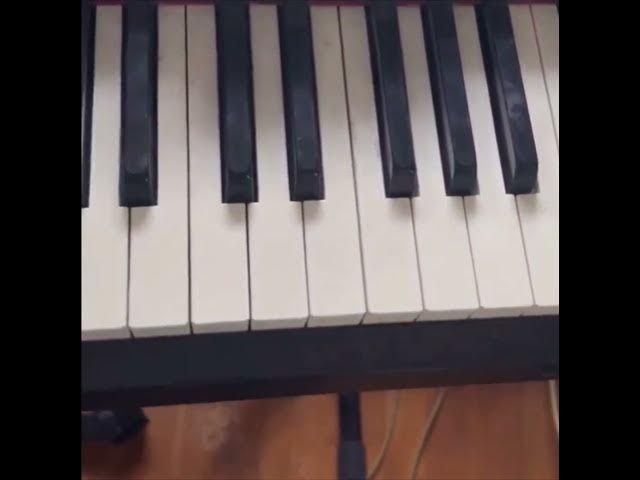 Video thumbnail for SOMEBODY TRANSCRIBE THIIIIIS!