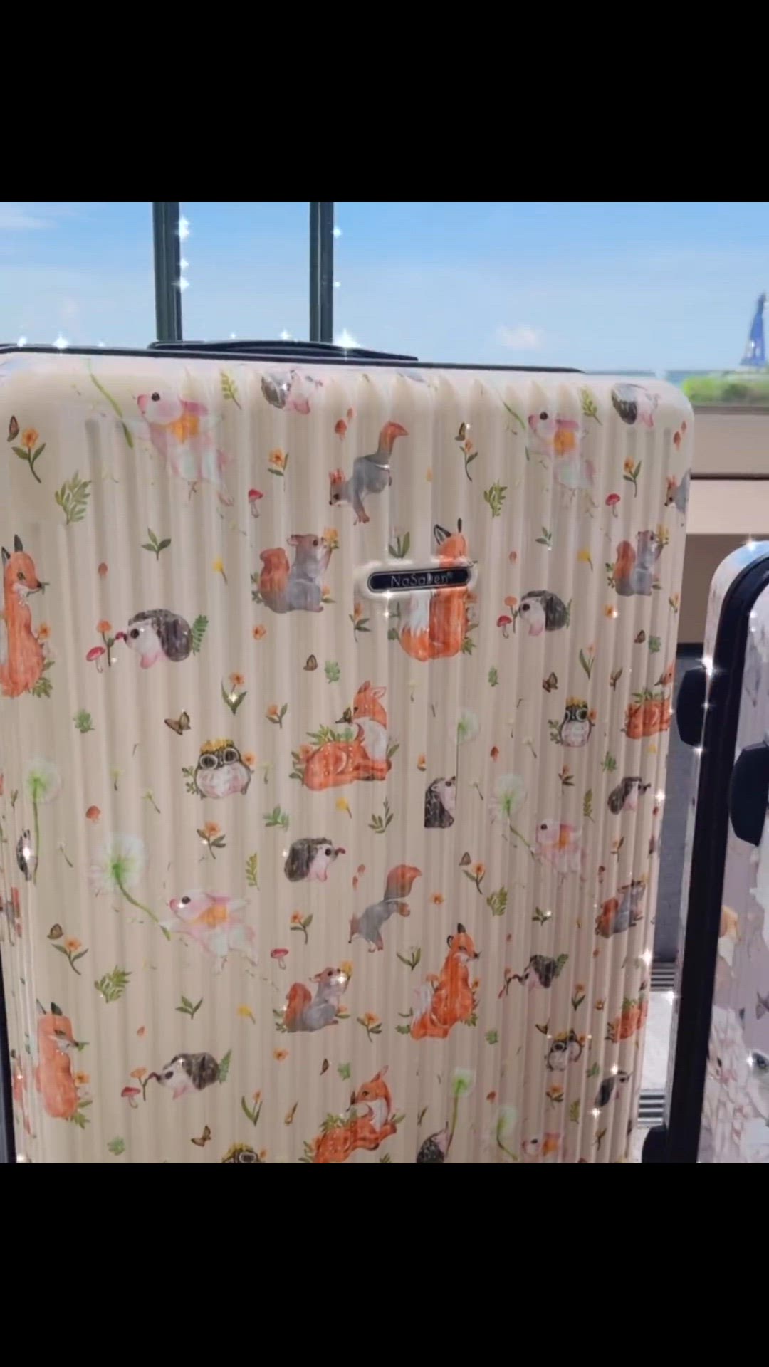 Video thumbnail for 【港澳專區】二代版 毓 NaSaDen納莎登新無憂【英格藍貓聯名款】兔の旅獨特印花拉鍊行李箱