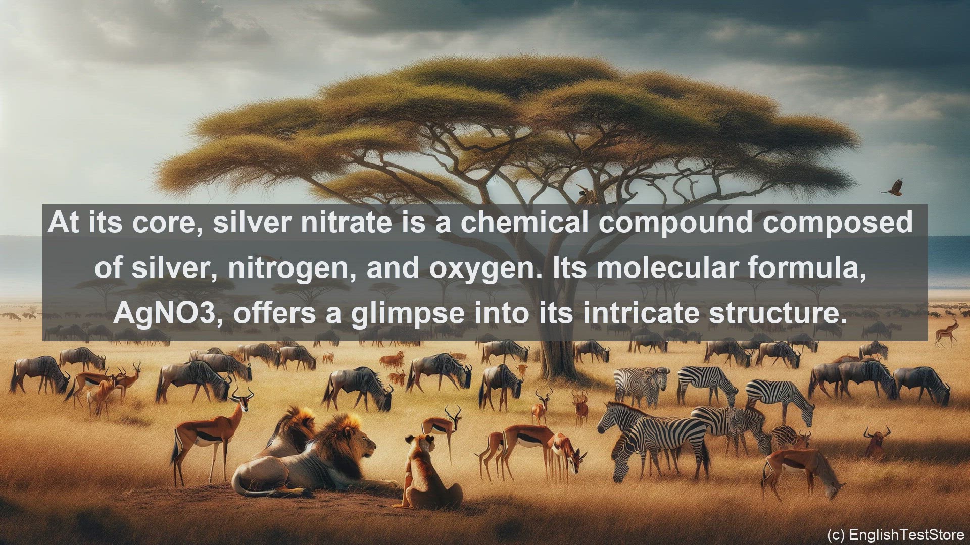 'Video thumbnail for Silver i nitrate in science  definition and examples'