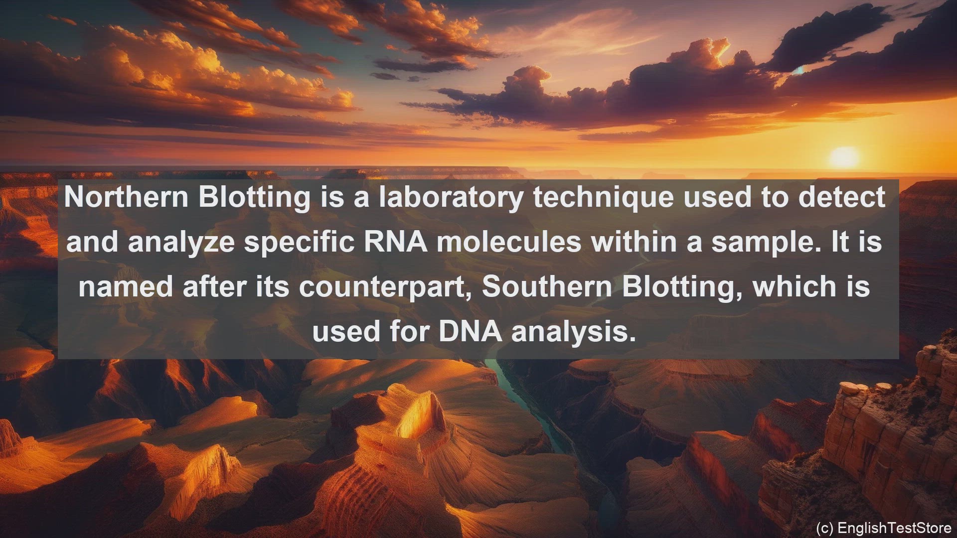 'Video thumbnail for Northern blotting in science  definition and examples'