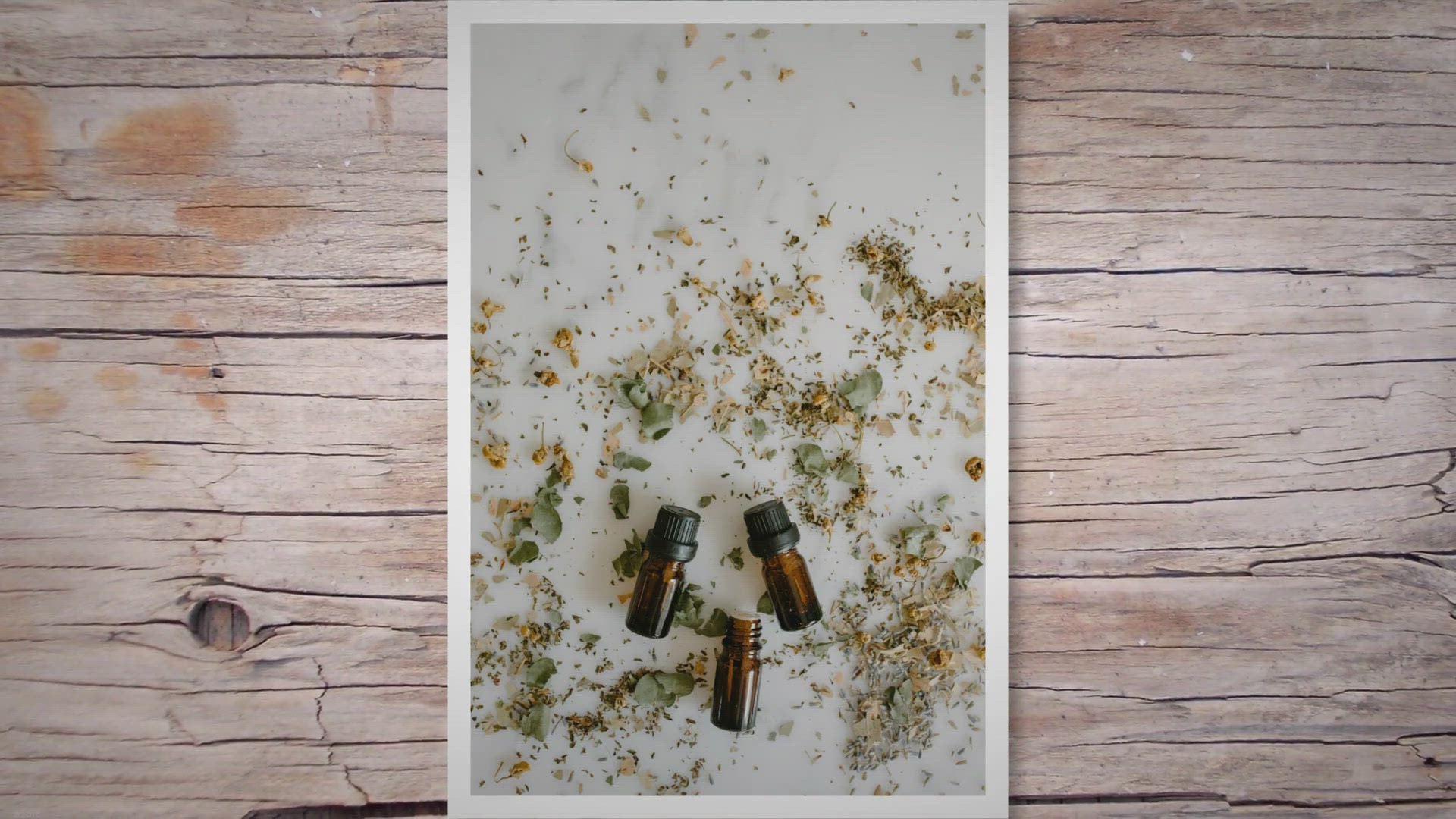 Video thumbnail for Qu'est-ce que le lycopode ?