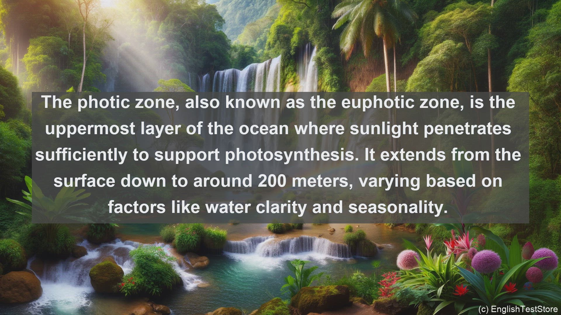'Video thumbnail for Photic zone in science  definition and examples'